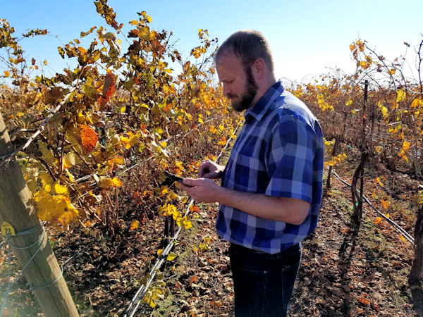 Viticulture Data Collection