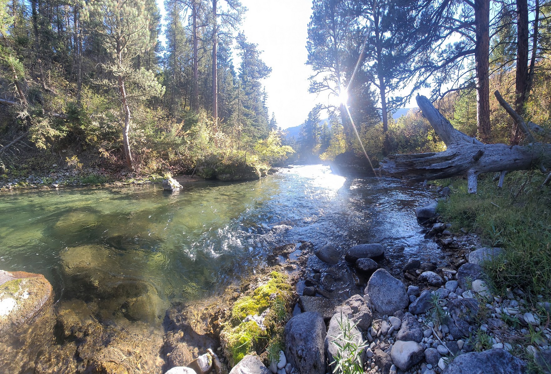 Image00004