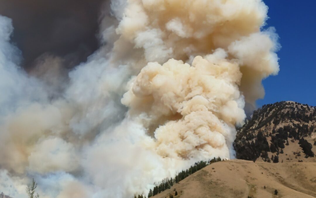 Enhancing Wildfire Risk Reduction
