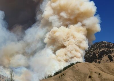 Enhancing Wildfire Risk Reduction